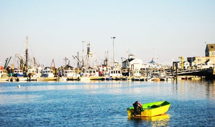 Guided tour of Outer Cape with Provincetown and Chatham